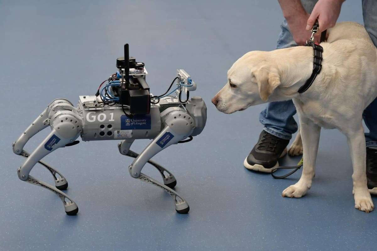 Robot dog developed to support blind and visually impaired