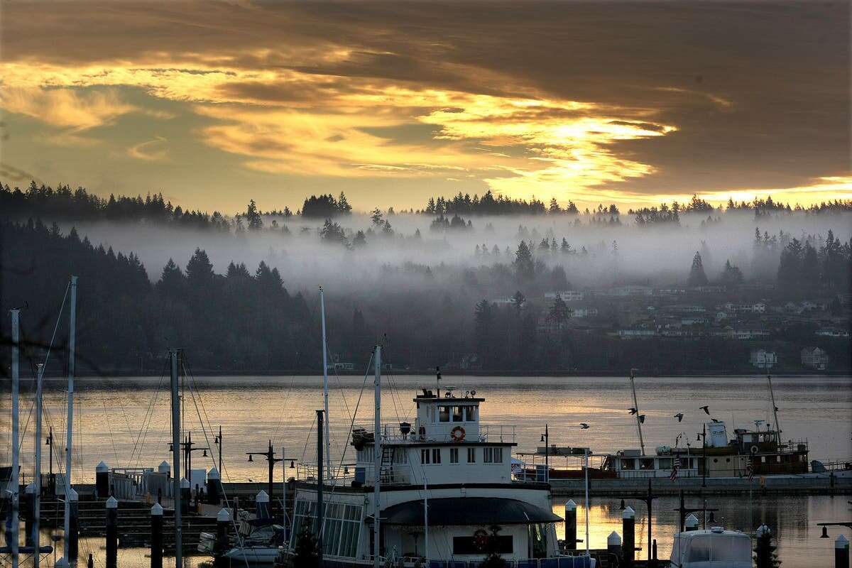 River otter drags child underwater in horror Washington marina attack