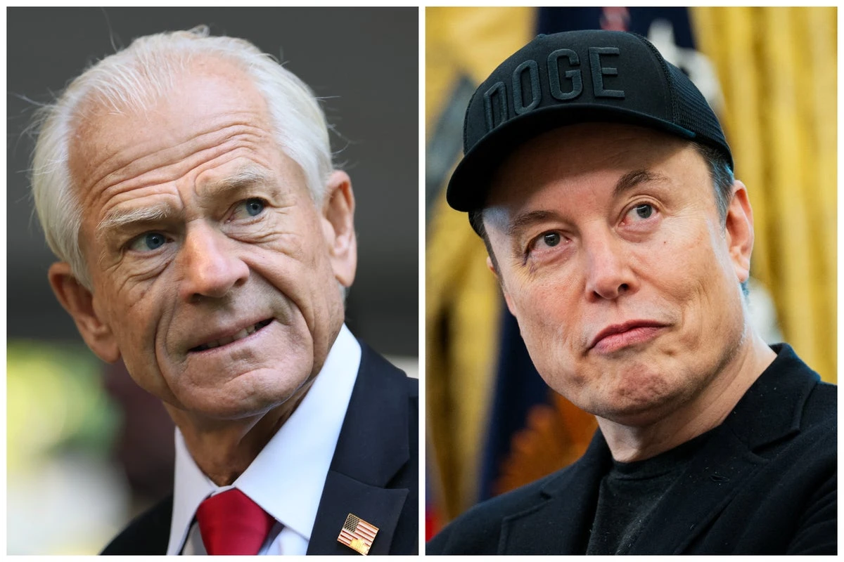 Navarro calls on Musk to cleanse X ‘cesspool’ and ban foreigners