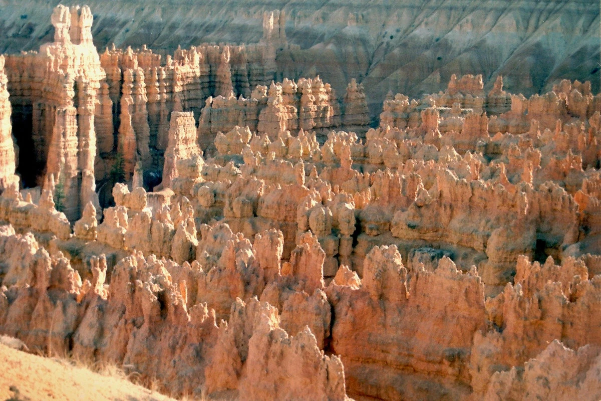 Two people dead after climbing over guardrail at Utah National park