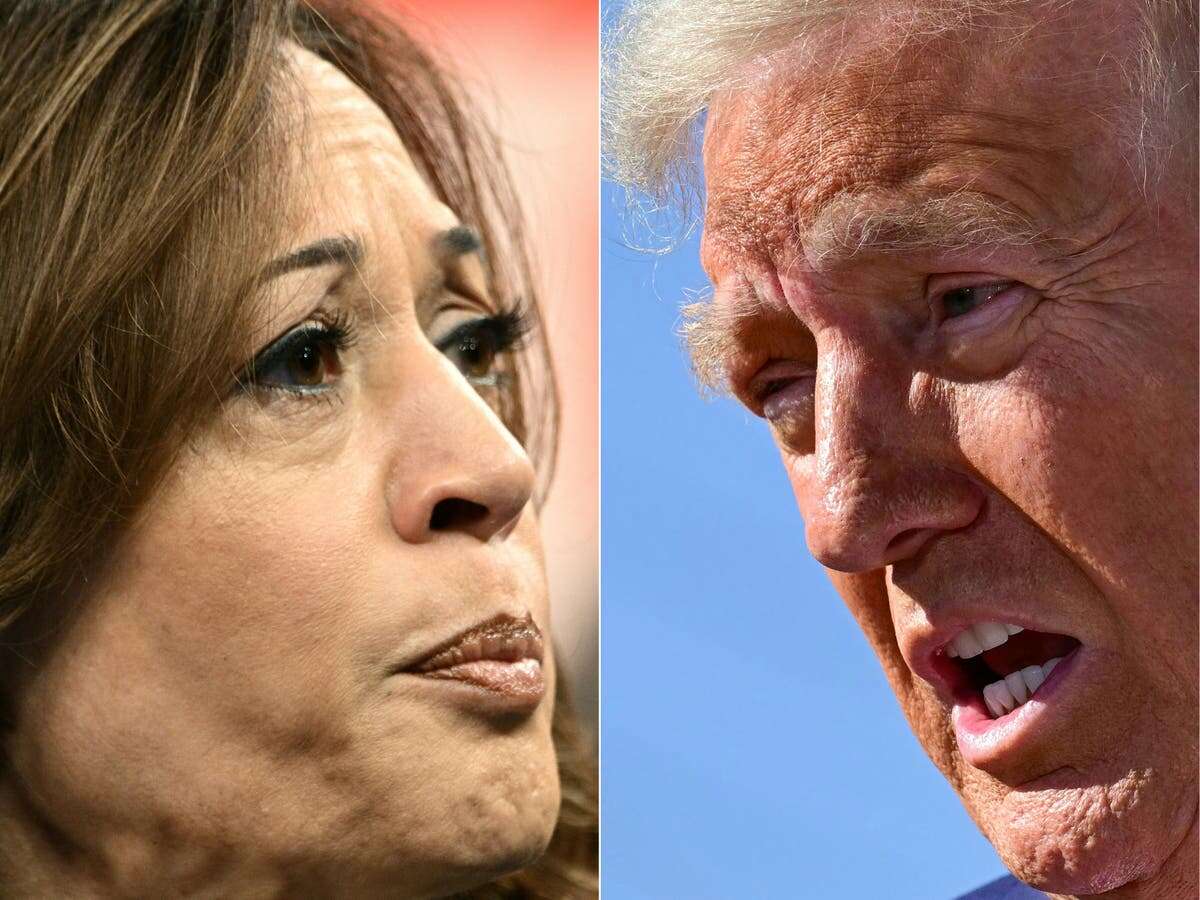 Historic gender gap will likely decide if Trump or Harris wins