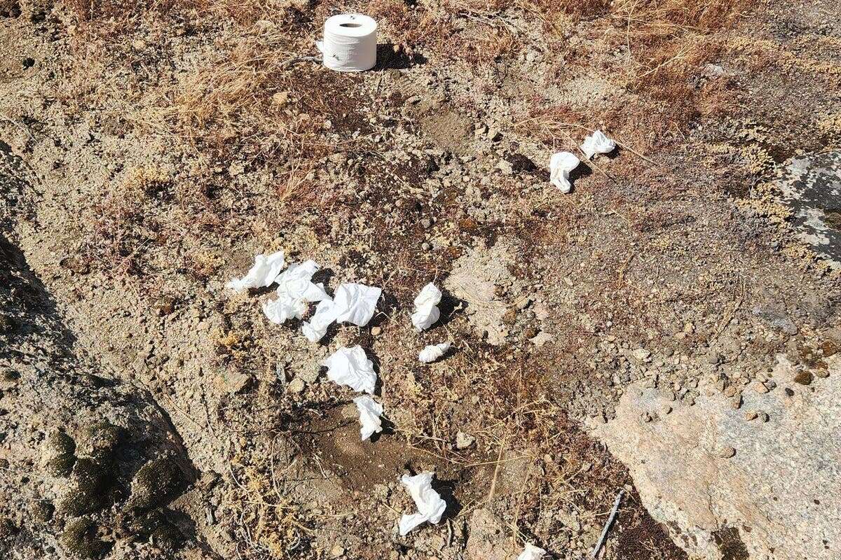 Yosemite park rangers ask visitors to stop leaving used toilet paper