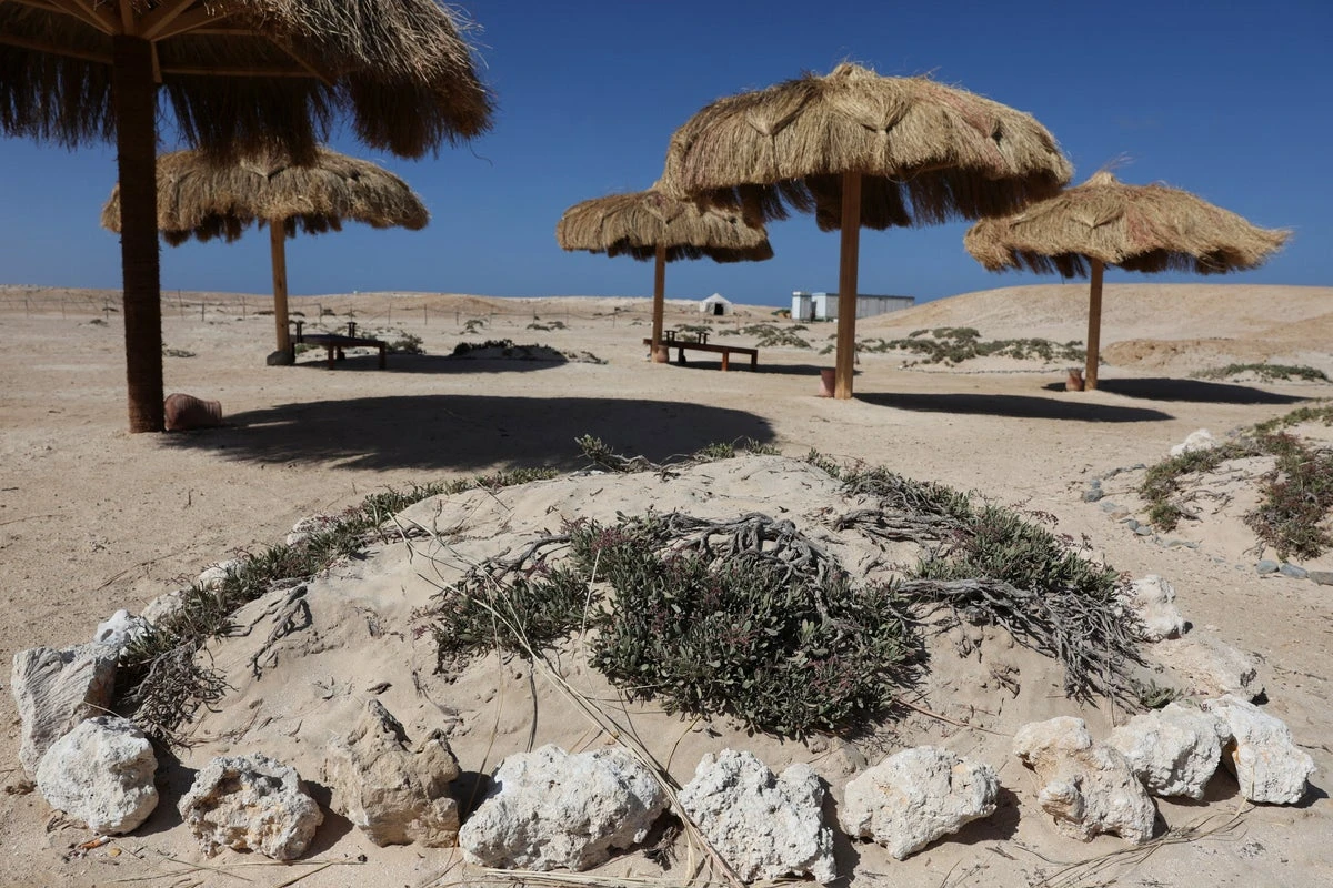 Egypt’s tourism boost risks ‘ruining country’s beaches forever’