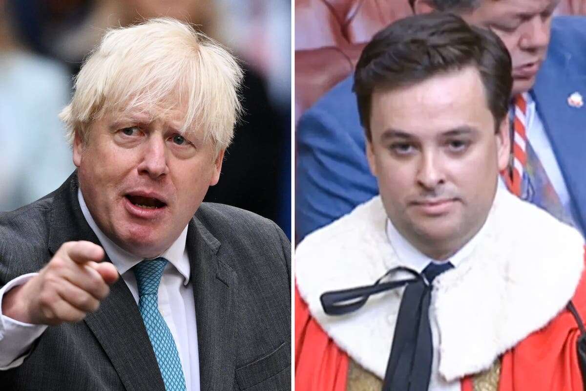 Boris’s young peer makes millions from PR firm that advises former PM