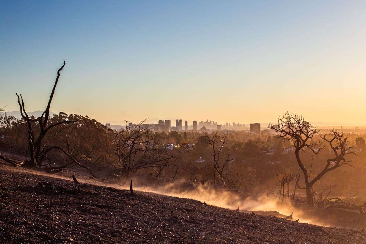 Extreme droughts will become more frequent and severe, scientists warn