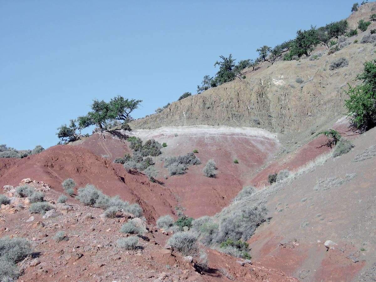 How a ‘devastating’ volcanic winter led to the rise of the dinosaurs