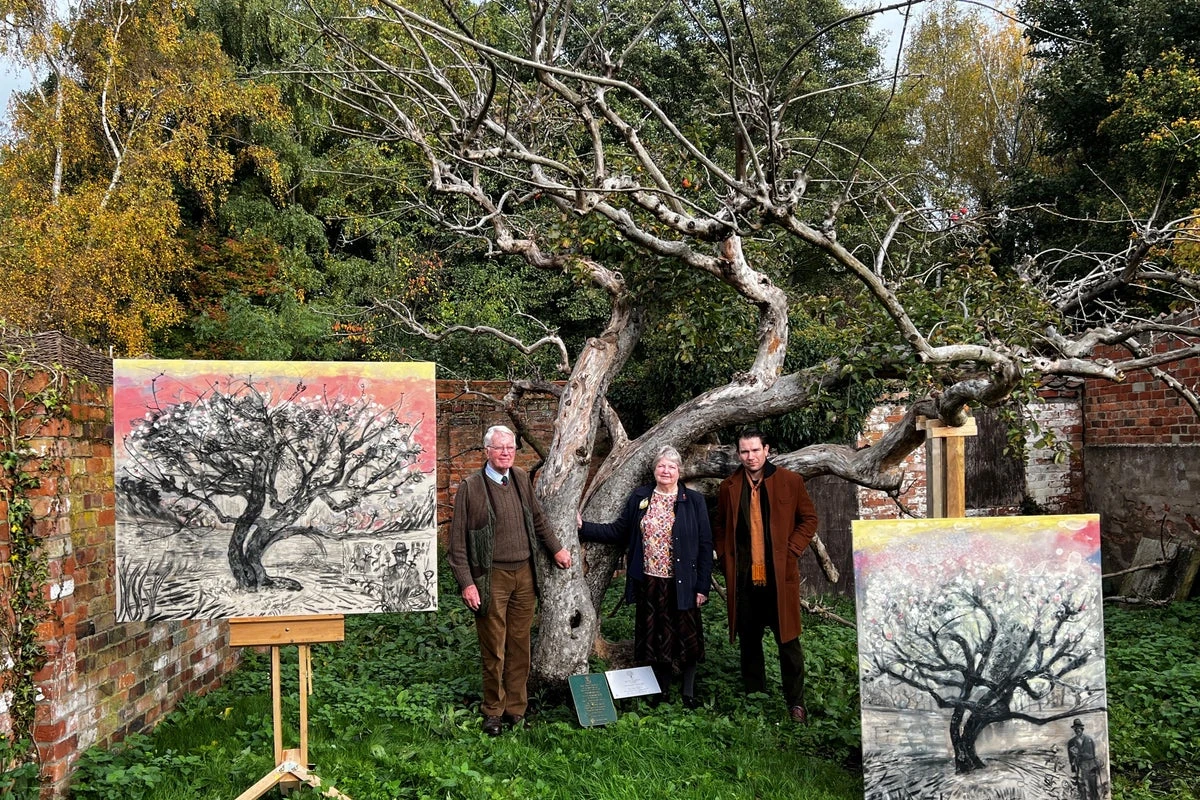 Race to save Britain’s original Bramley apple tree from private sale