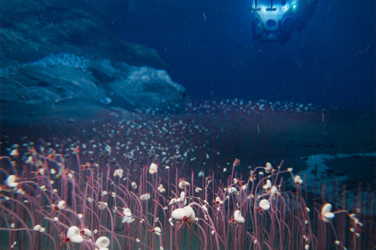Animals at the bottom of ocean that challenge understanding of life