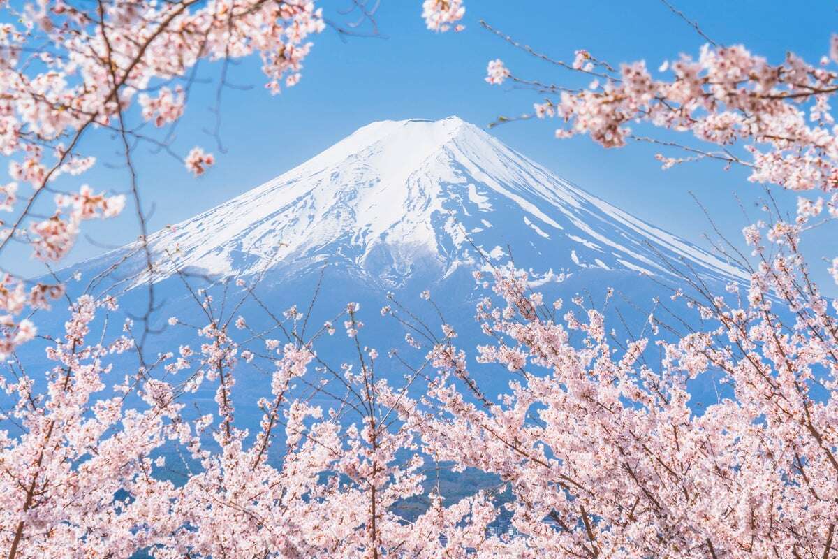 Japan to introduce entry fee for all Mount Fuji trails to curb crowds