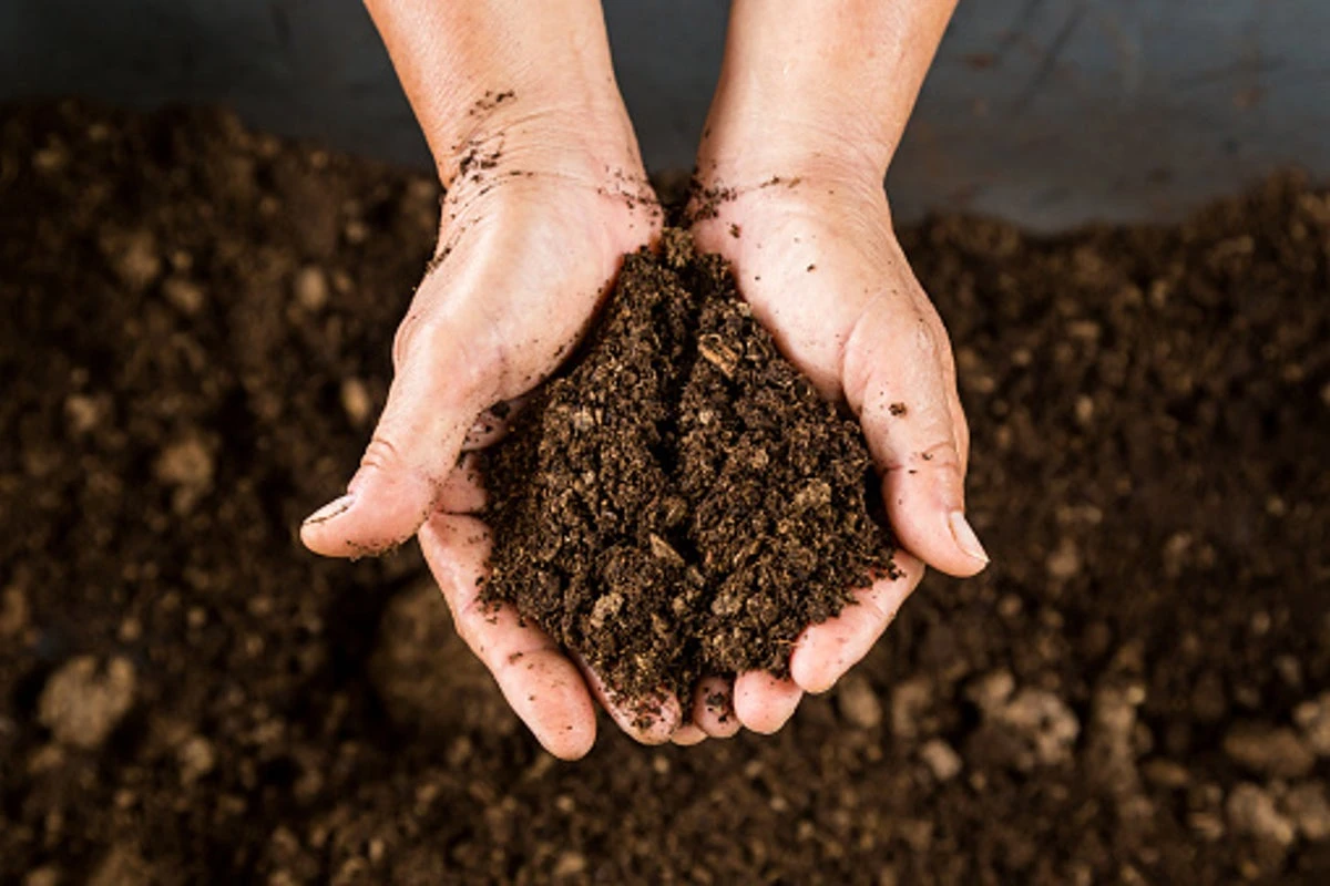 Maine high schoolers accidentally served baked dirt for dessert