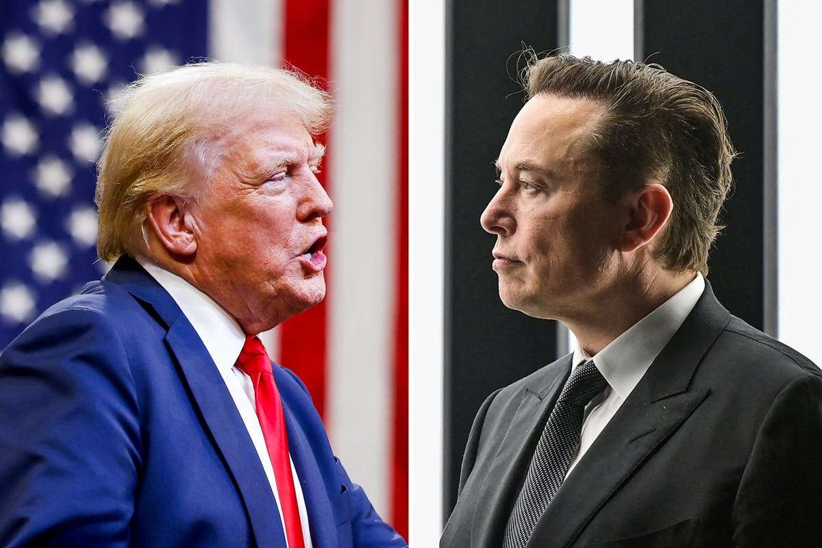 Trump could appoint Musk to head committee axing government programs