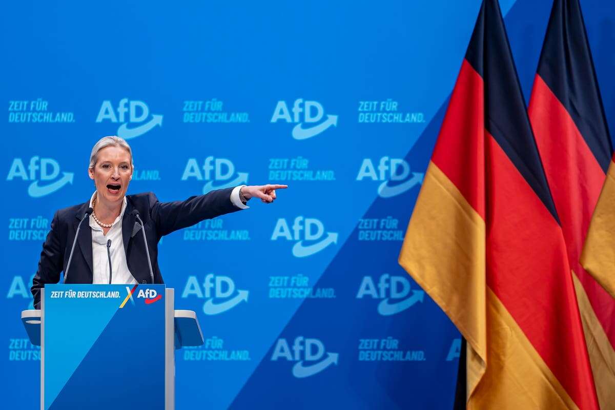 Huge protest at far-right AfD rally as German election campaign begins