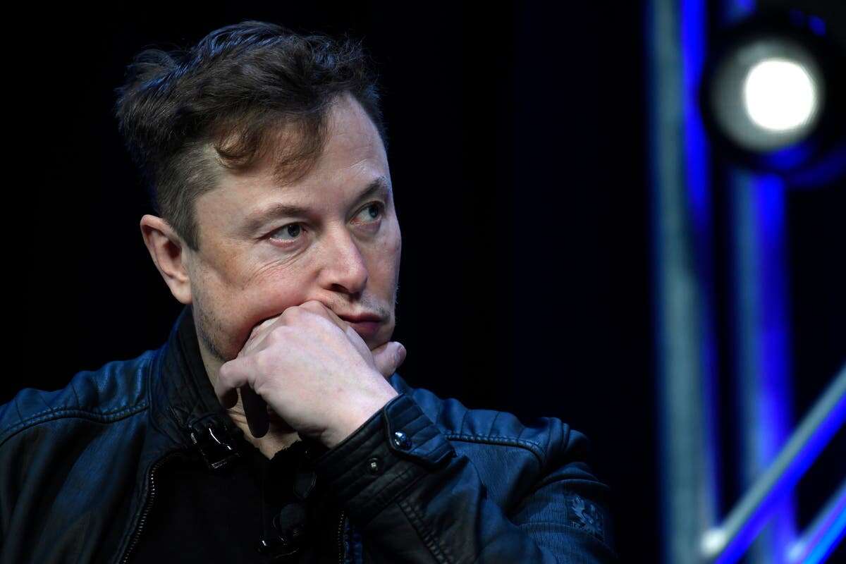 What’s the theory shared by Musk for republic of ‘high-status males’