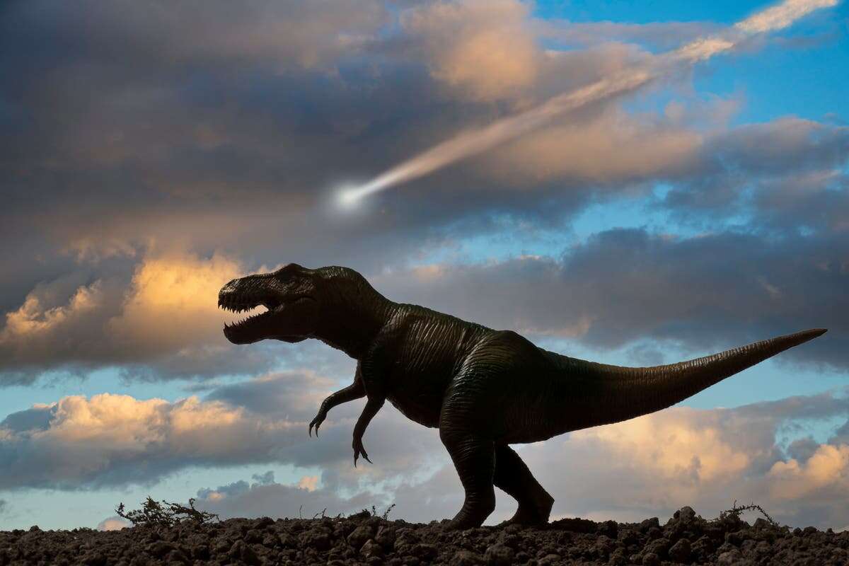 More than one asteroid killed the dinosaurs, scientists reveal