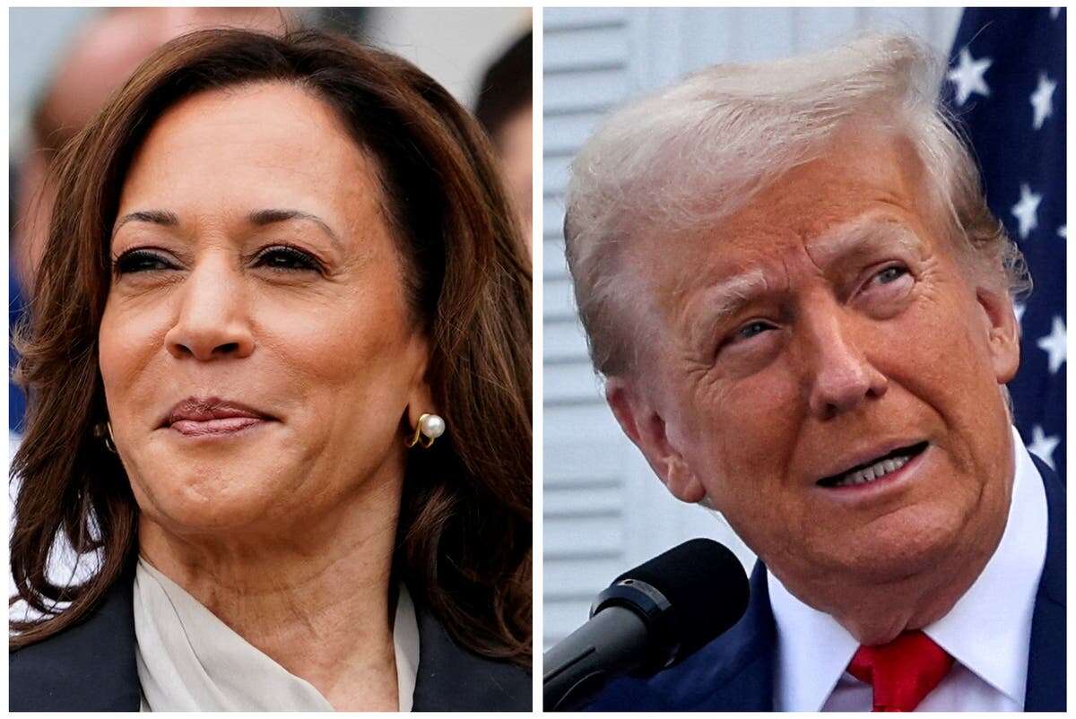 Harris and Trump debate ‘will be everything,’ Republican pollster says