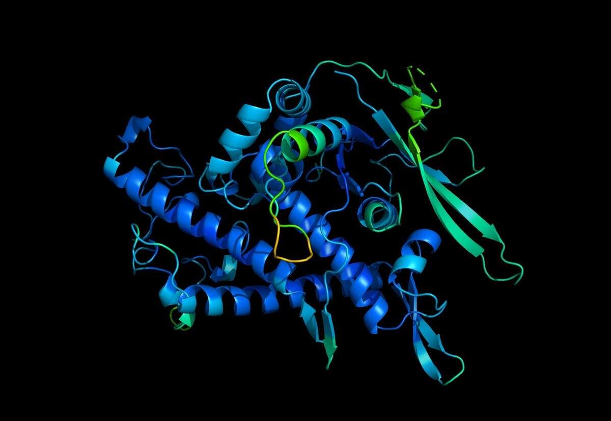 Google’s AI cracks 3D structure of all proteins known to science