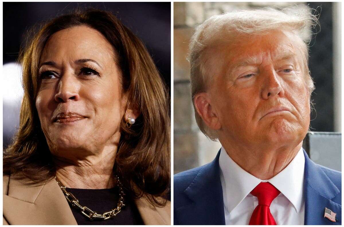 Trump losing to Harris on economy two weeks from election, poll shows