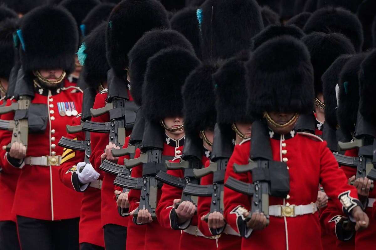 Buckingham Palace guard’s bearskin caps under fire as price revealed