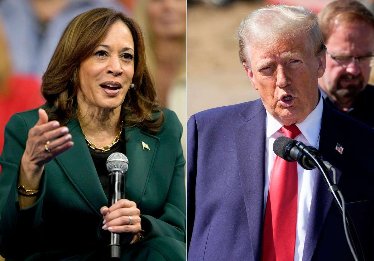 New poll shows Harris 11 points ahead of Trump in favorability