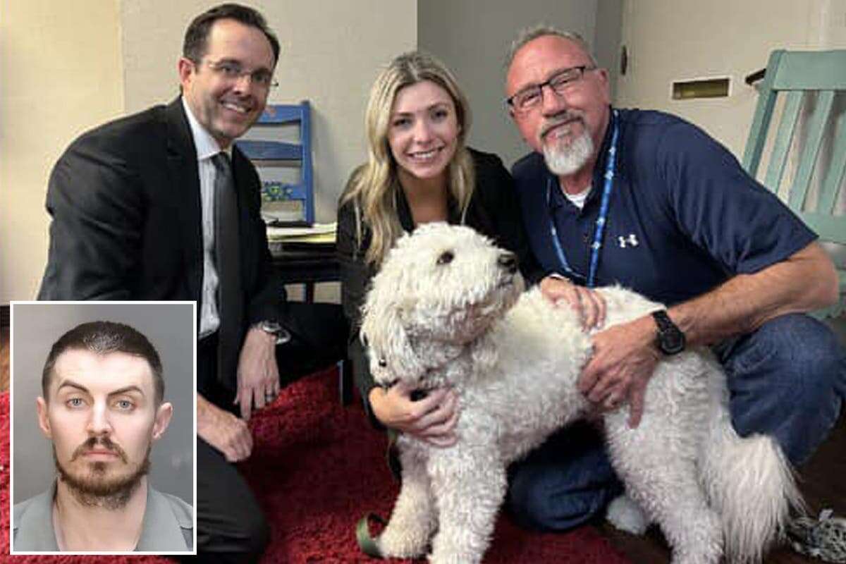 A labradoodle who refused to leave owners’ body led police her killer