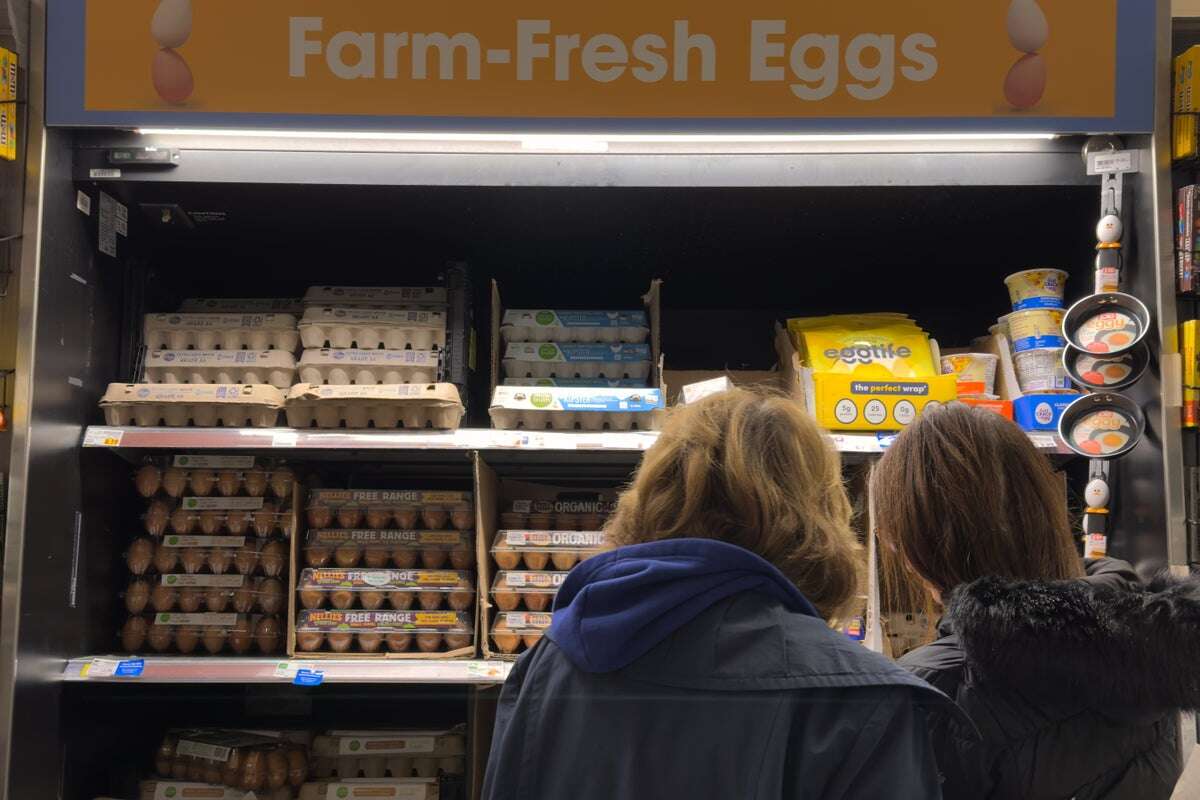 Egg price tracker: How much a dozen eggs costs in America