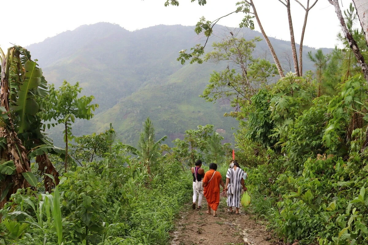 Study suggests destruction of Amazon directly impacts human health