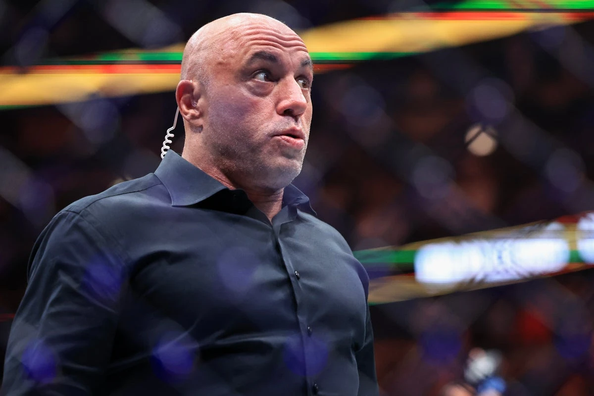 Mel Gibson-Joe Rogan podcast may have driven rise in ivermectin use