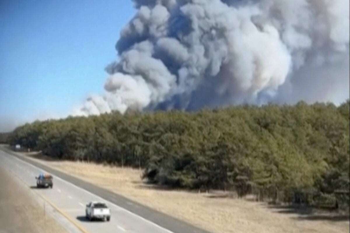 Firefighters seek to contain wind-driven brush fire on Long Island