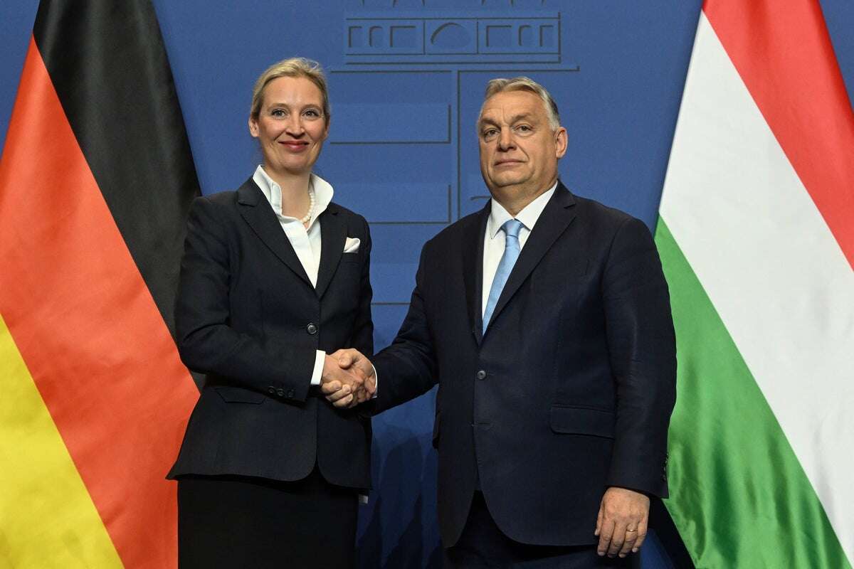 Hungary's Orbán meets head of far-right German party AfD, calling her 'the future of Germany'