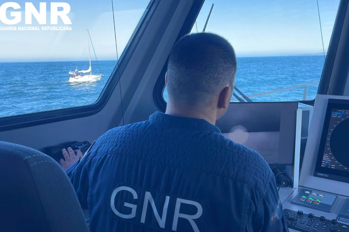 Four rescued as orcas ram boat off Portugal for third time in a week