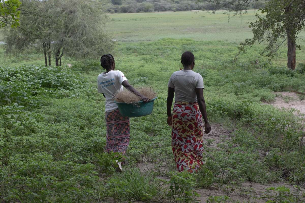 Women in USAID cuts at risk of ‘sex for fish’ exploitation in Zambia