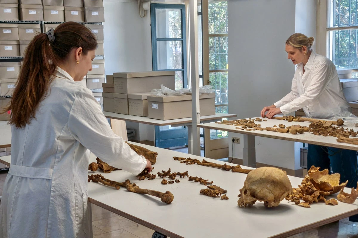 Genome study reveals secrets of the fall of the Roman Empire