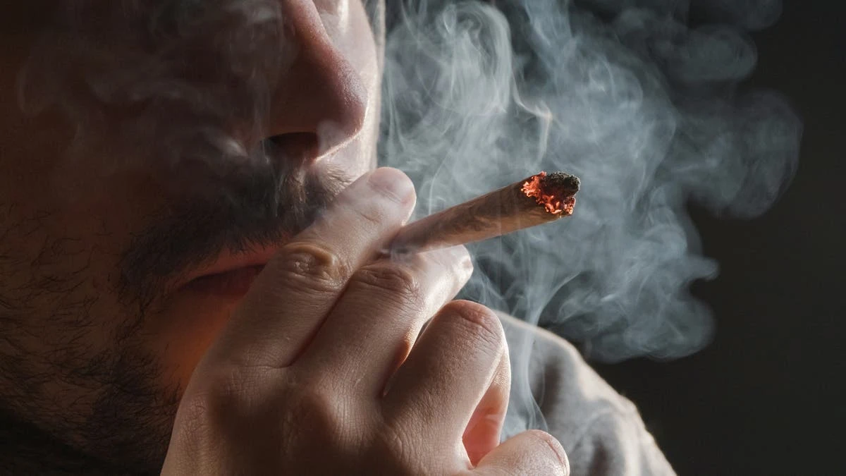 Cannabis addiction appears to have long-term effect in young men