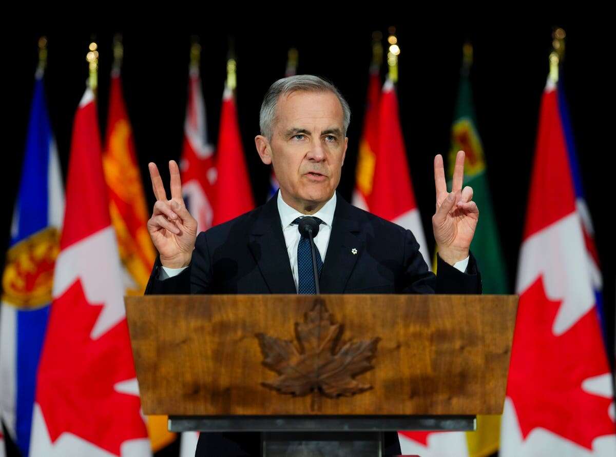 New Canadian prime minister Mark Carney calls snap election