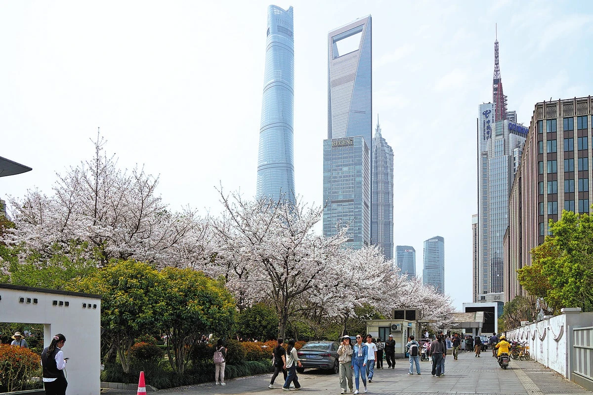 Nation set to further advance financial opening-up