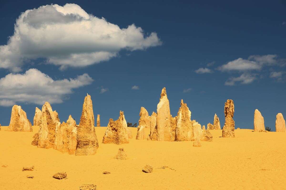 Study finds origin of Australia’s 100,000 year-old ‘warrior pillars’