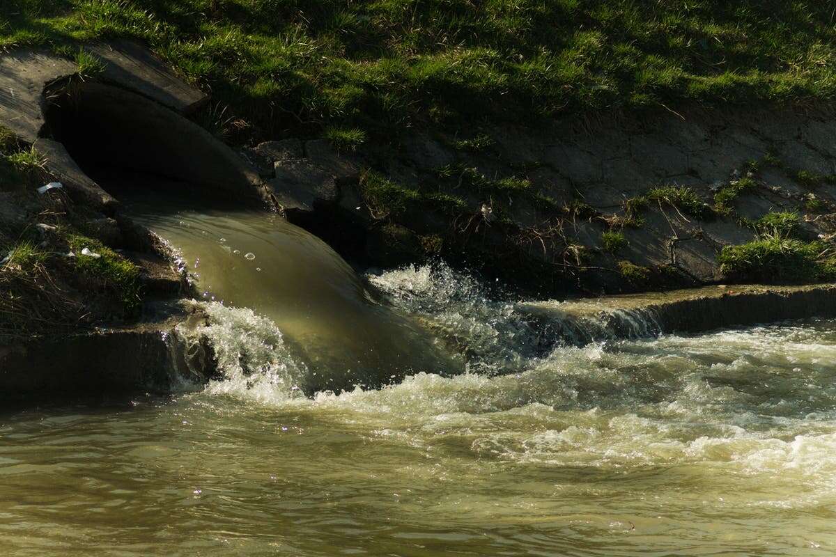 Water bosses could face prison time over dumping sewage into rivers