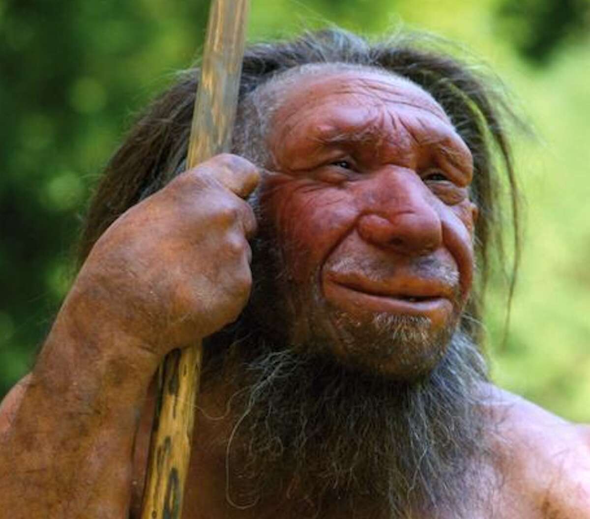 Early riser? You could have Neanderthal DNA