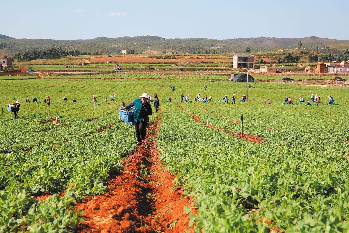 Project gives farmers stable water supply