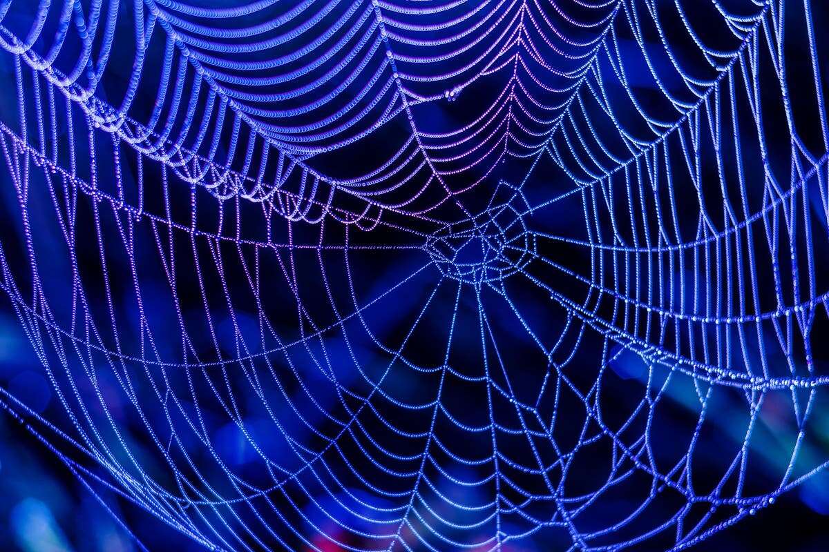 Scientists spin artificial spider webs to treat chronic wounds