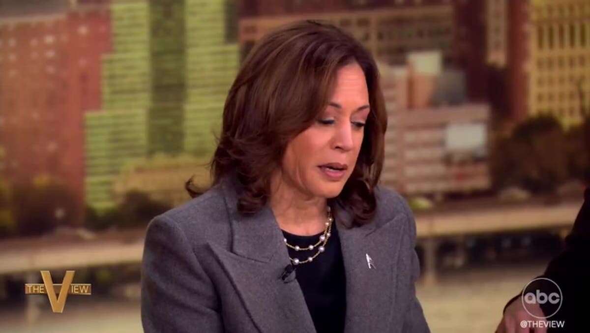 Harris rolled out a new policy proposal on The View. Does it stand up?