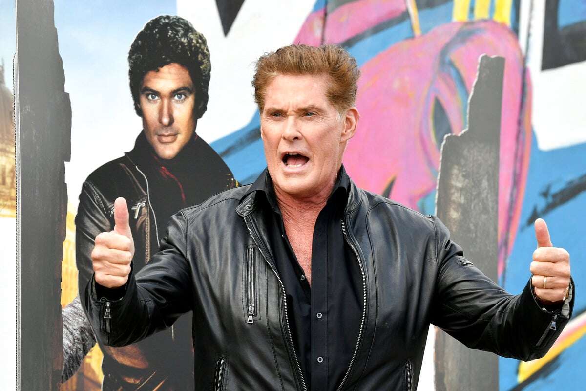 Scientists reveal fight secrets of crab named after David Hasselhoff