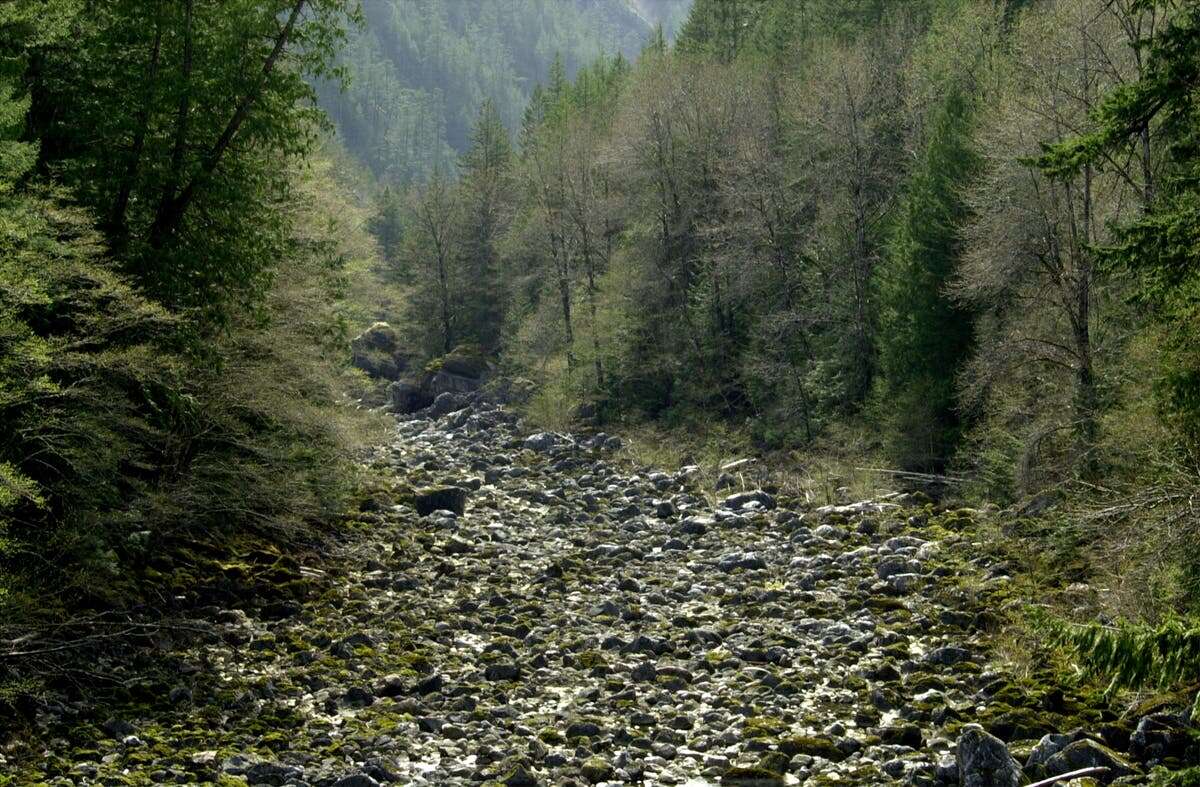 A man disappeared in a national park. The 30-day ordeal ‘aged him’