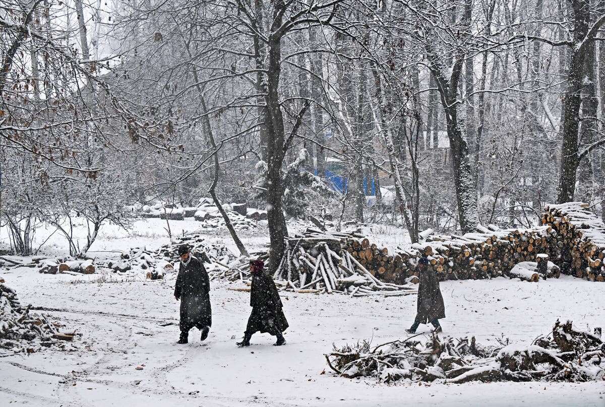 Mystery illness ravages three families in remote Kashmir village