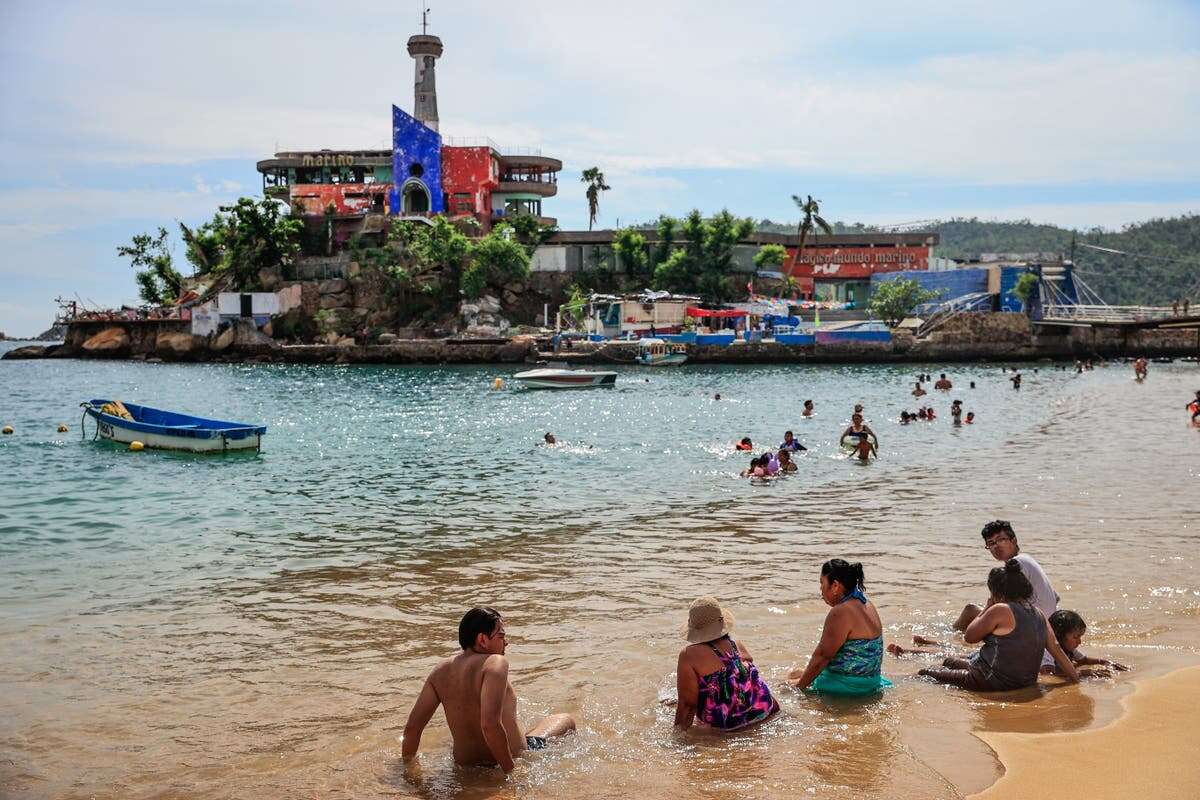 Belgian tourist dies in animal attack at Mexico resort