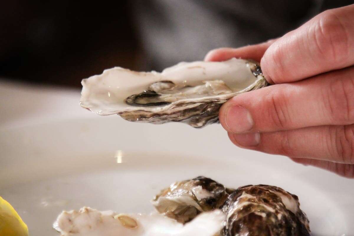 Oysters recalled over possible contamination with norovirus