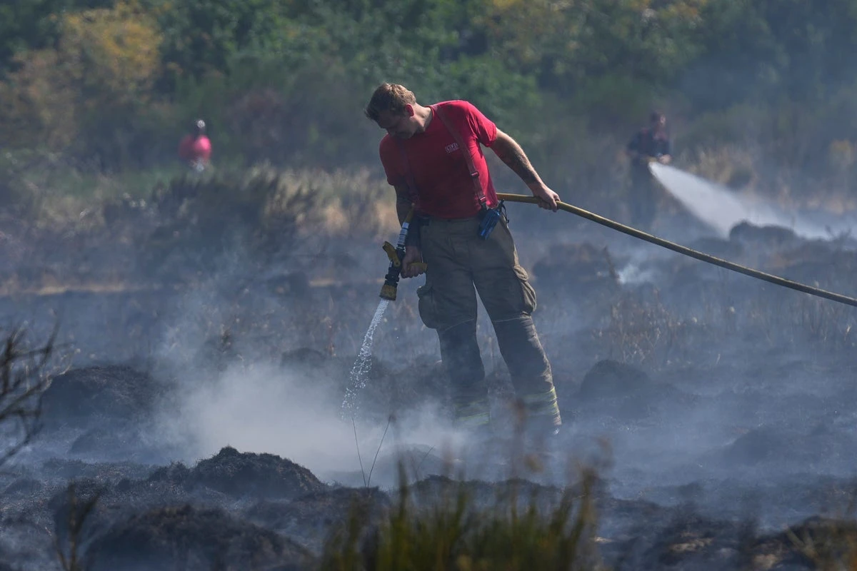 Warning Labour’s rewilding plans could trigger surge in UK wildfires