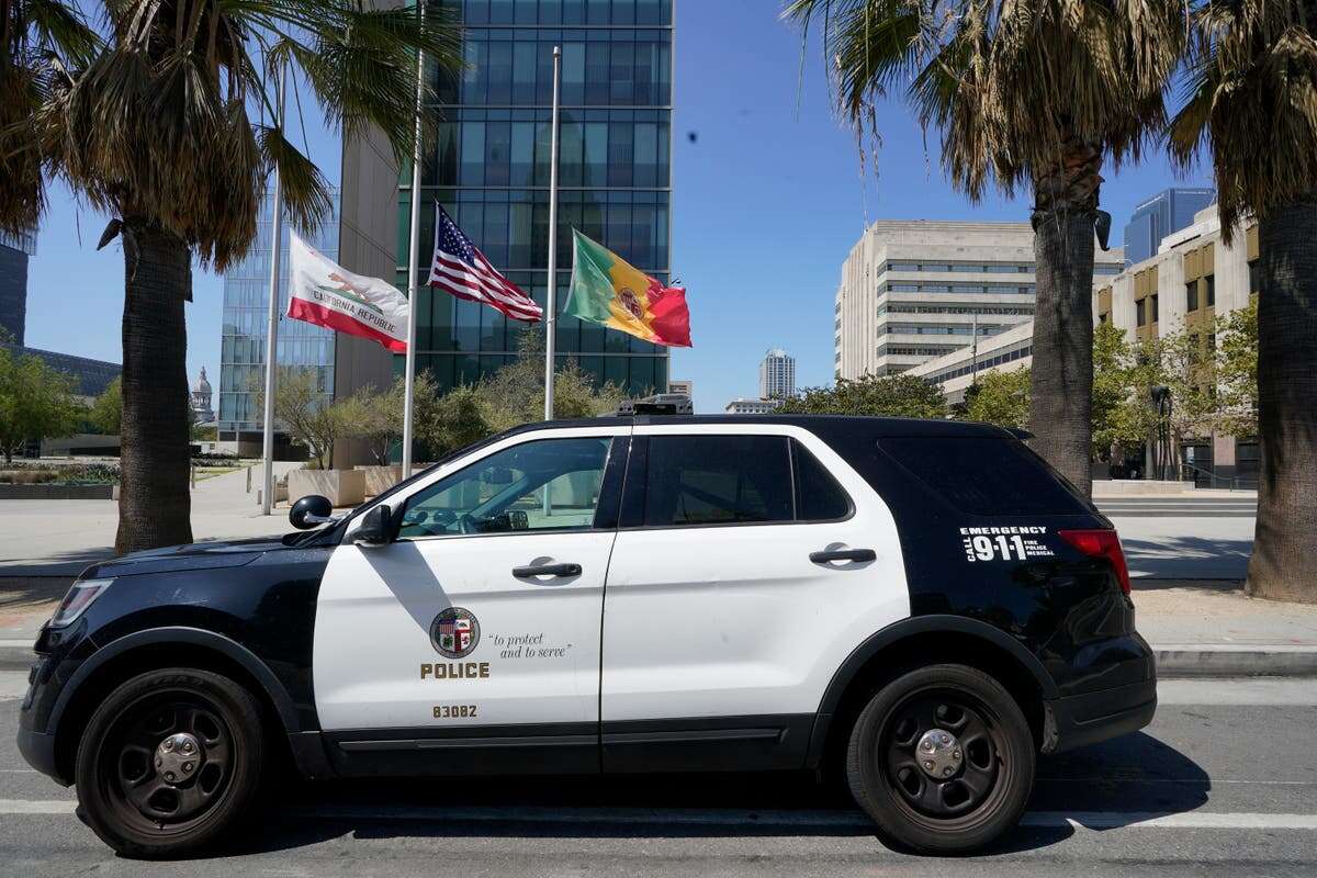 ‘Crime tourism’ ring in multimillion-dollar scheme busted, LAPD says