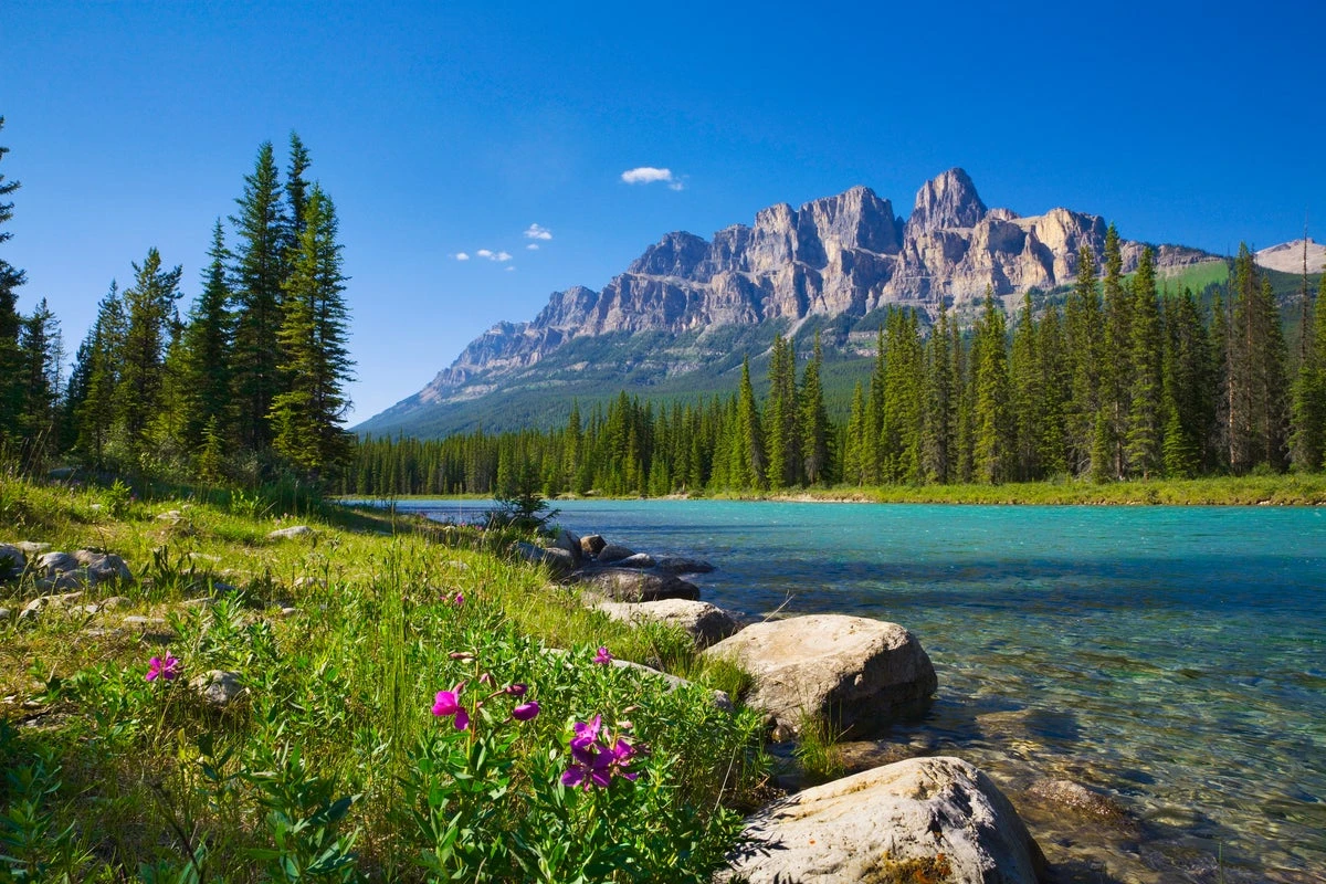 Hiker dies after rockslide in remote part of national park