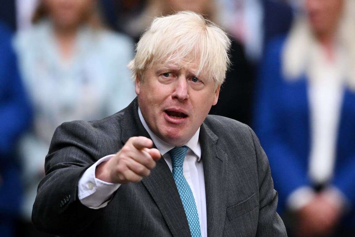 Johnson ‘called Tory MPs ‘chicken s***’ over Cummings criticism’